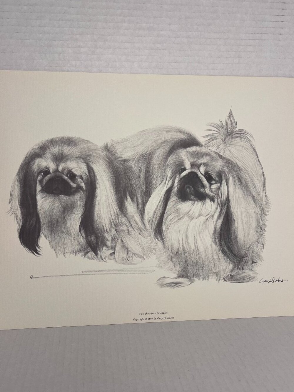 Dog Print of Charcoal Drawing by Gary H Kokes "Two champion Pekingese" 1964